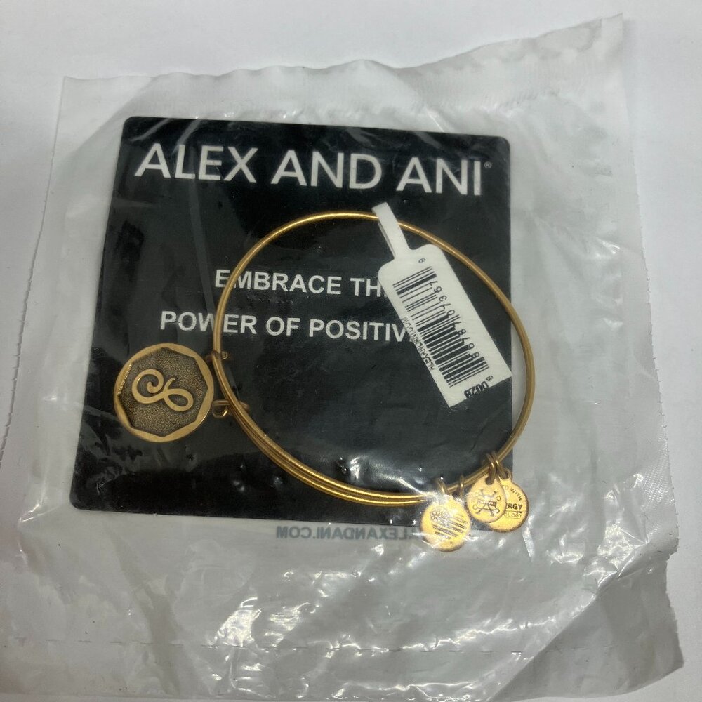 NWT Alex and Ani Initial S Charm Bangle Bracelet Rafaelian Gold
